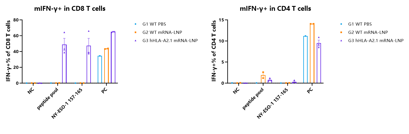 mRNA疫苗在hHLA-A2.1/B2M小鼠中的免疫原性验证 (A)实验流程。(B)小鼠,组别及给药信息。(C)小鼠脾脏ELISpot结果。(D)小鼠脾脏经NY-ESO-1157-165肽段刺激后流式检测结果