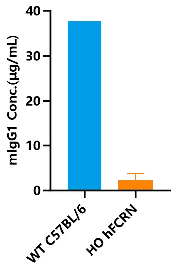 3 Detection of mIgG1 expression in serum by ELISA (n=3).-��ģ����