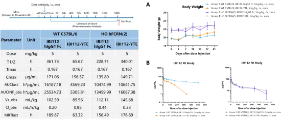 Pharmacokinetic analysis of IBI112 in HO hFCRN(2) mice - 南模生物